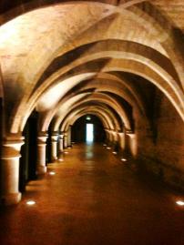 67564_10152734651230655_168582094_n